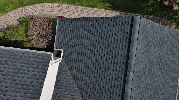 Best Commercial Roofing Services  in Geneva, AL